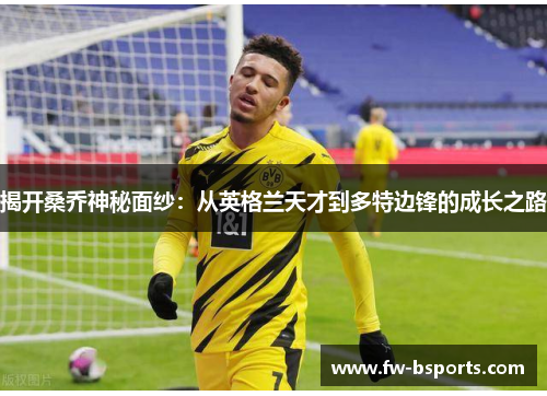 揭开桑乔神秘面纱：从英格兰天才到多特边锋的成长之路