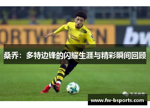 桑乔：多特边锋的闪耀生涯与精彩瞬间回顾