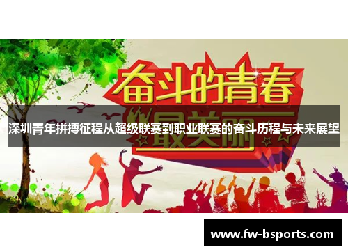 深圳青年拼搏征程从超级联赛到职业联赛的奋斗历程与未来展望