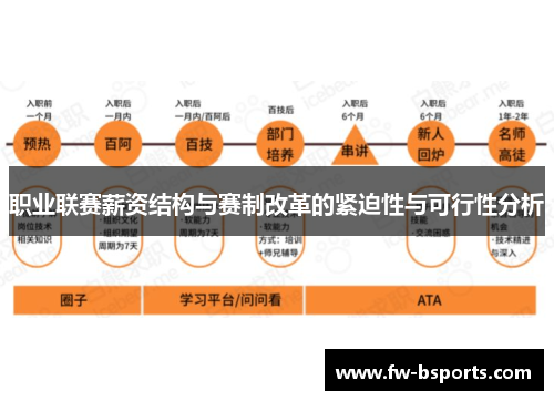 职业联赛薪资结构与赛制改革的紧迫性与可行性分析