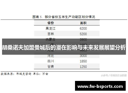 胡桑诺夫加盟曼城后的潜在影响与未来发展展望分析